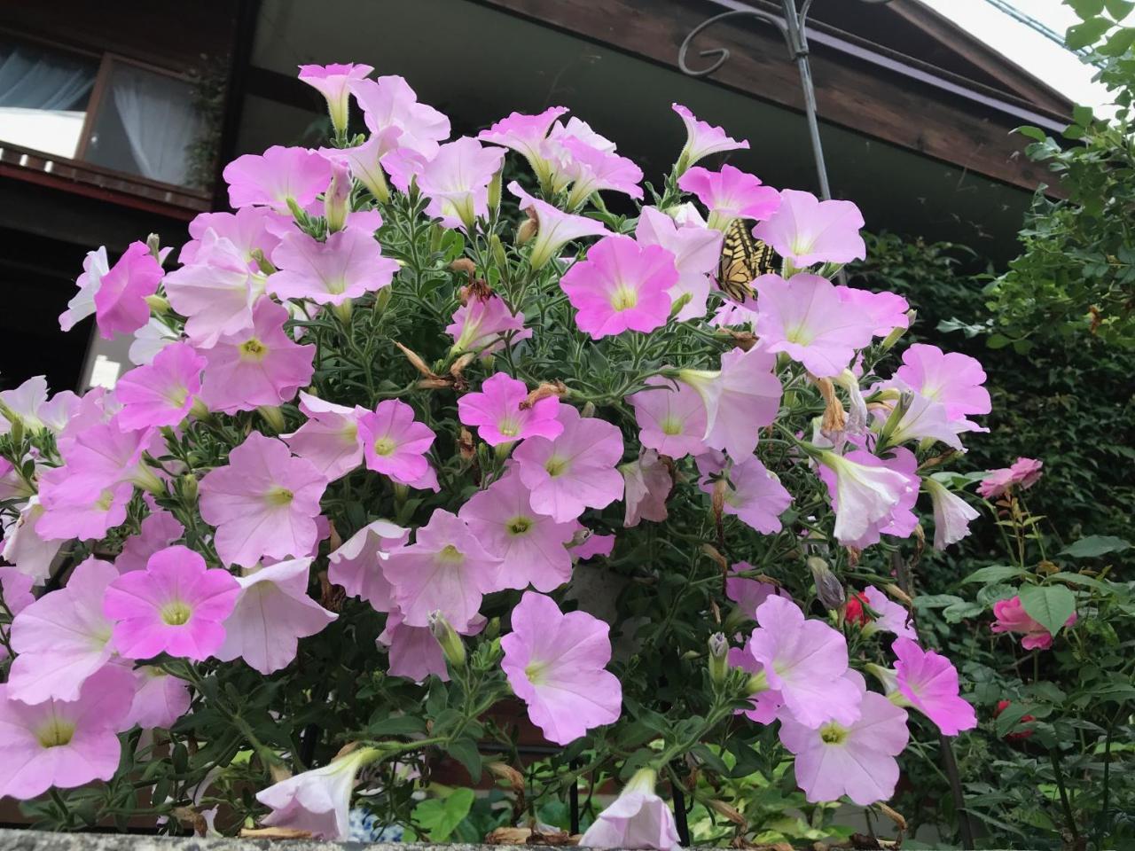 Kaminoyama Yamagata Zao Pension Aplon Stage מראה חיצוני תמונה